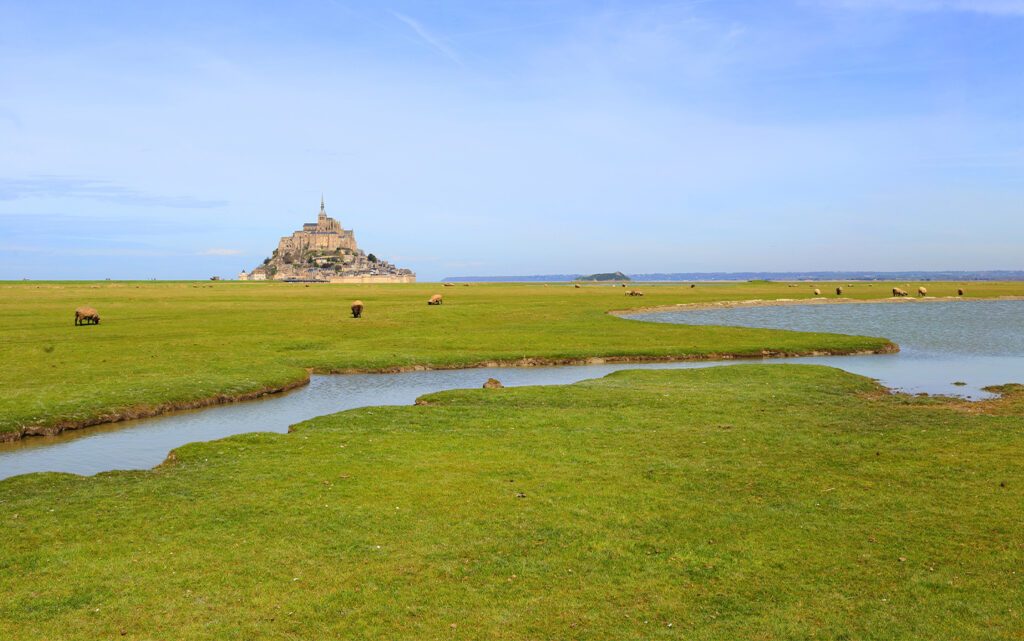 GR223 Sentier vers le Mont-Saint-Michel