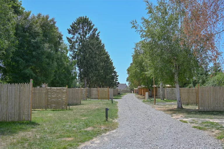 Allée centrale du camping à Pontaubault entre emplacements neufs et grands sapins