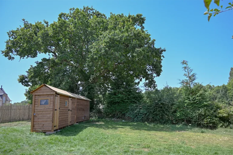 Cabanon en bois au pied d'un grand chêne sur la pelouse du camping