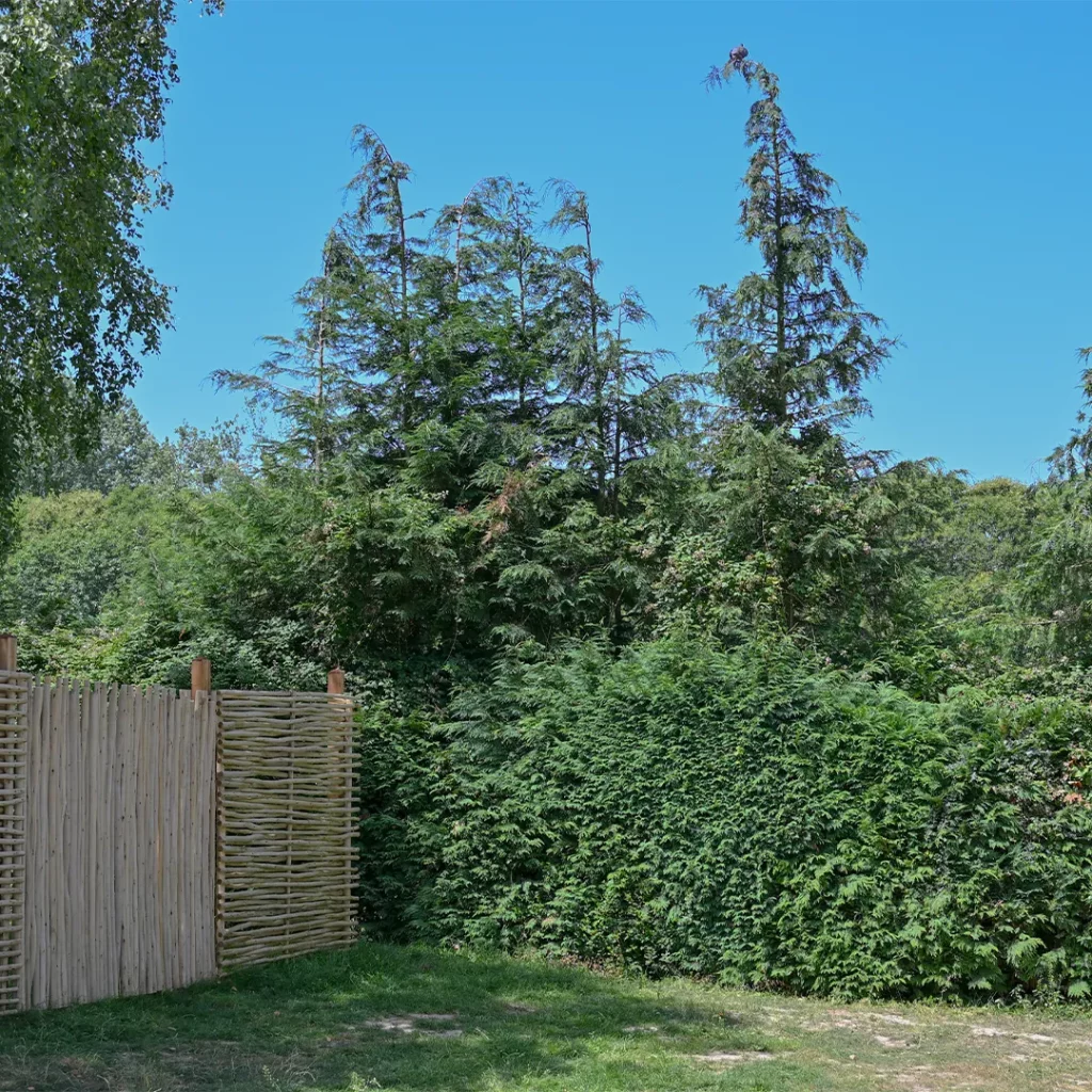 Palissade en bois tressé et haies verdoyantes délimitant les emplacements ombragés